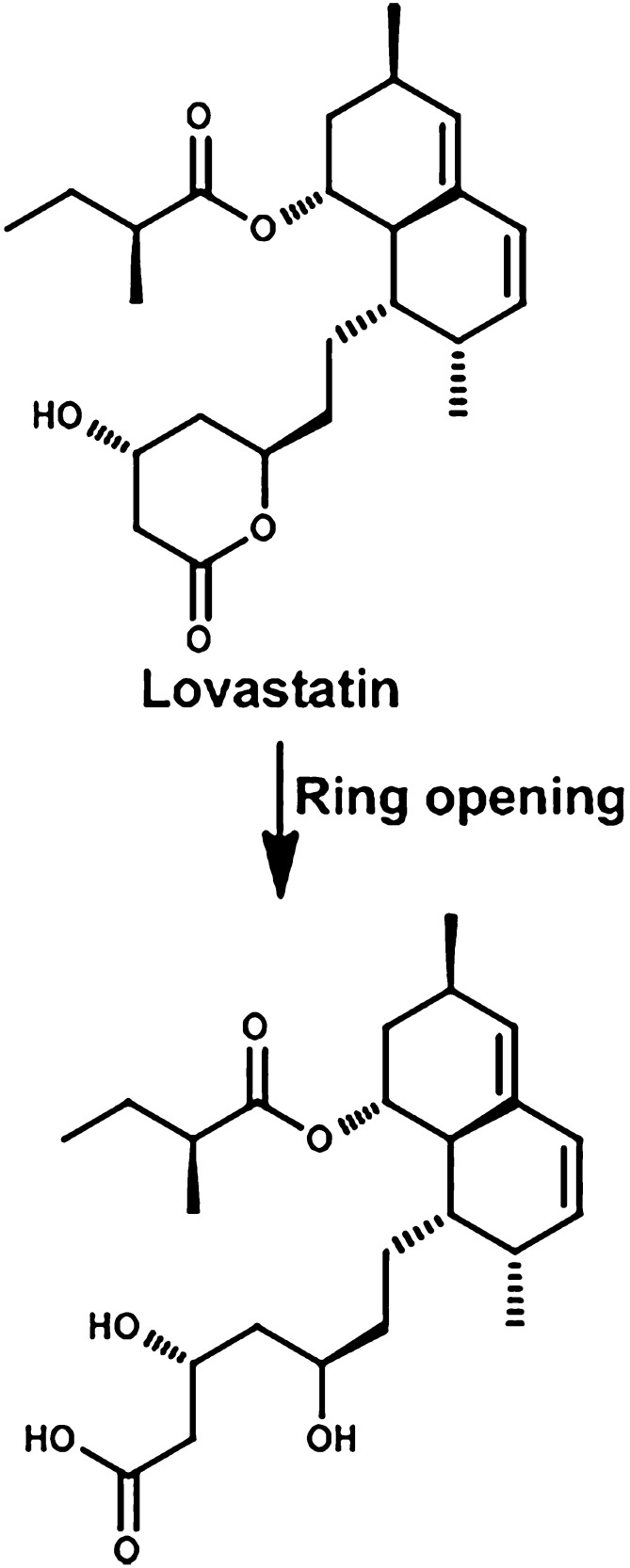 Fig. 14.