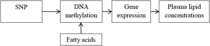 FIGURE 1 