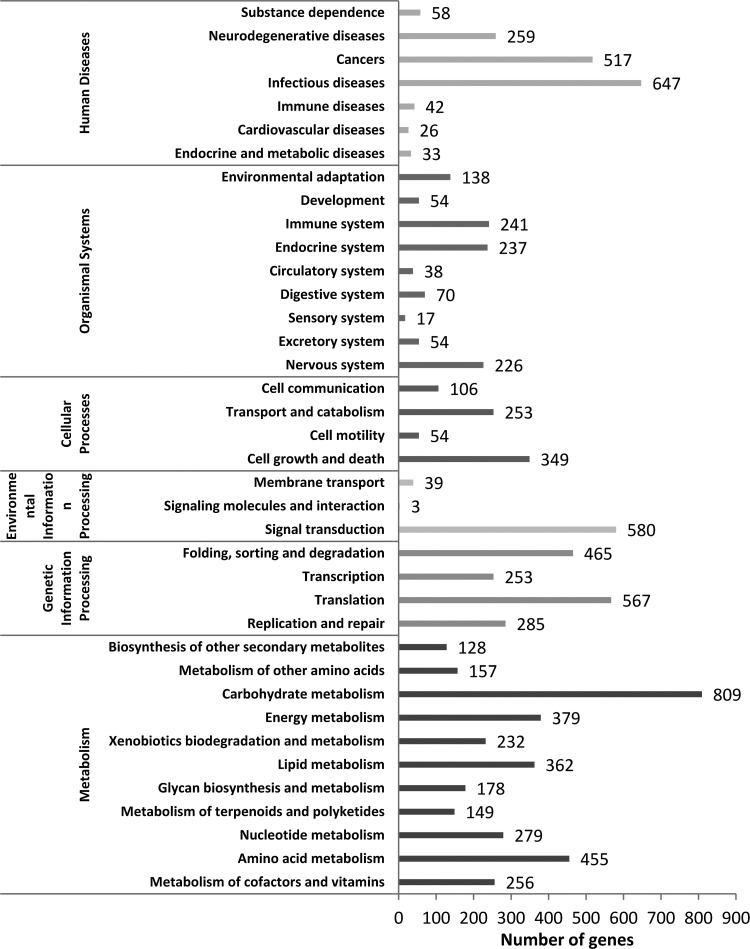 FIG. 6.