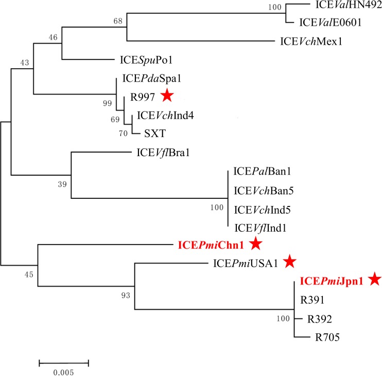 FIG 3