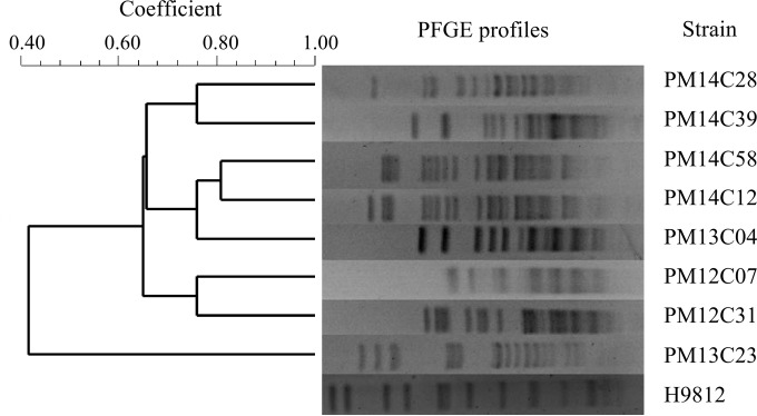 FIG 1