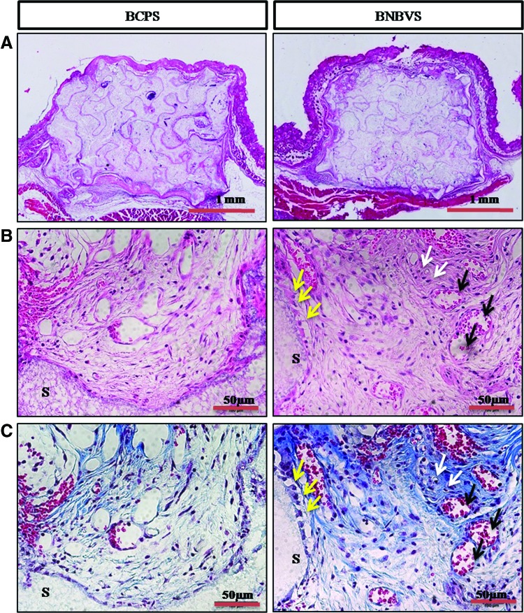 FIG. 7.