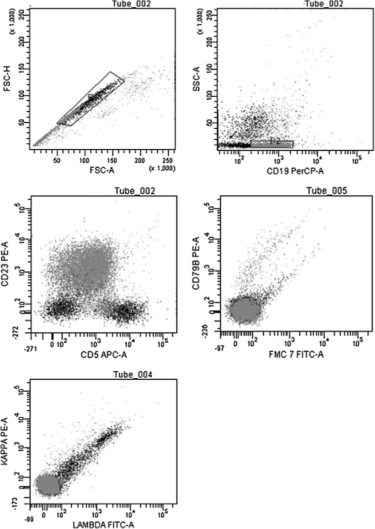 Fig. 1