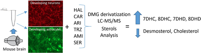 graphic file with name nihms-1674163-f0001.jpg