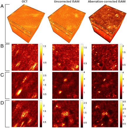 Fig. 4.