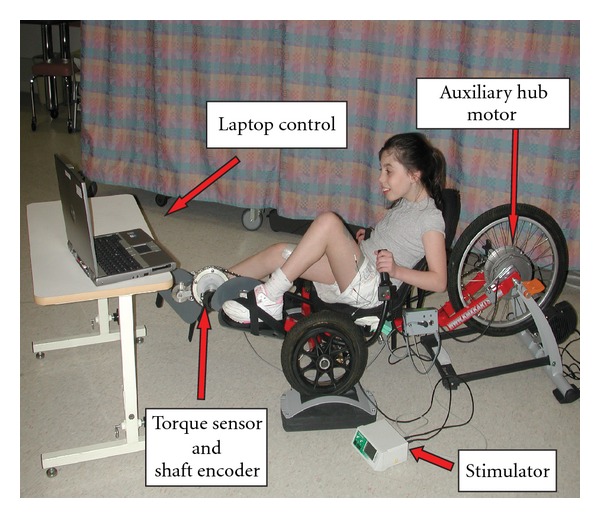 Figure 1