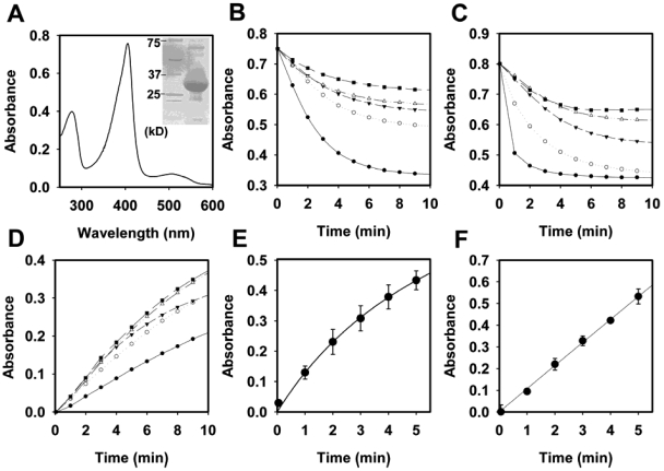 FIG 1 