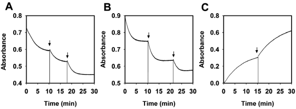 FIG 2 