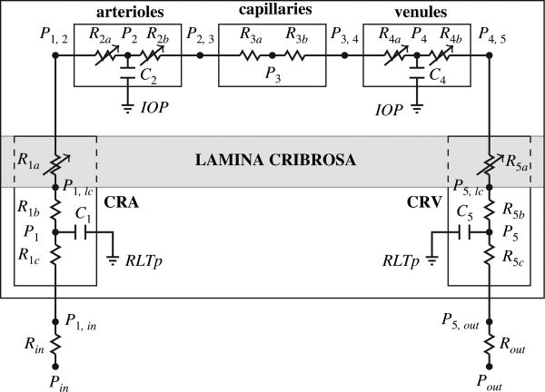 Fig. 12