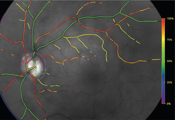 Fig. 7