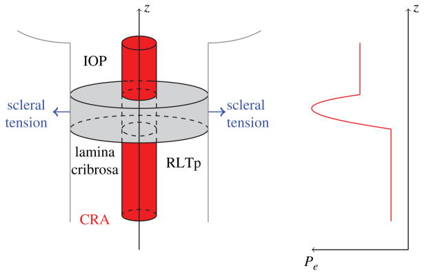 Fig. 9