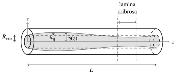 Fig. 10