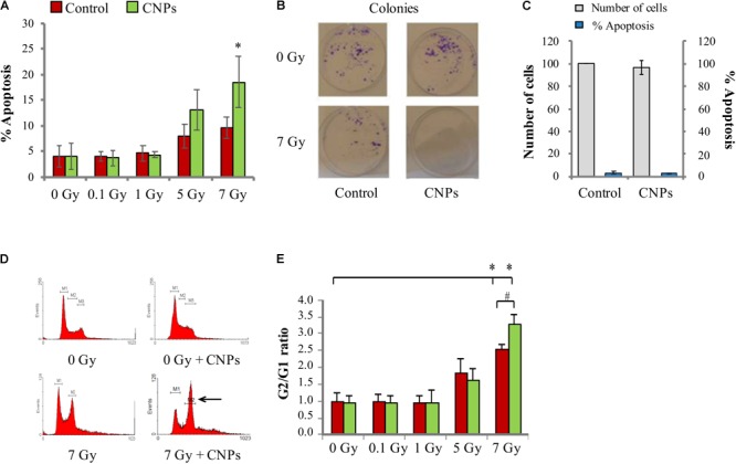 FIGURE 3