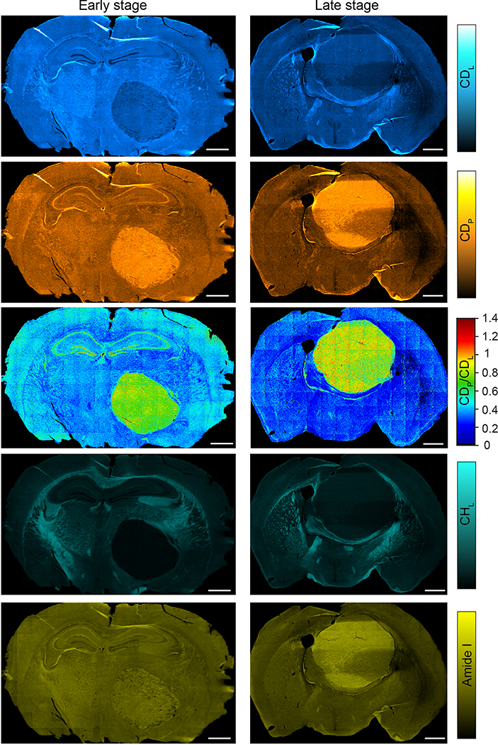 Extended Data Fig. 7 |