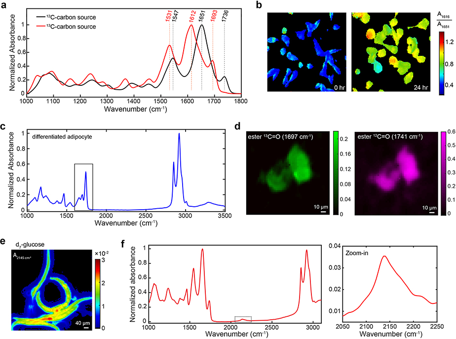 Extended Data Fig. 2 |