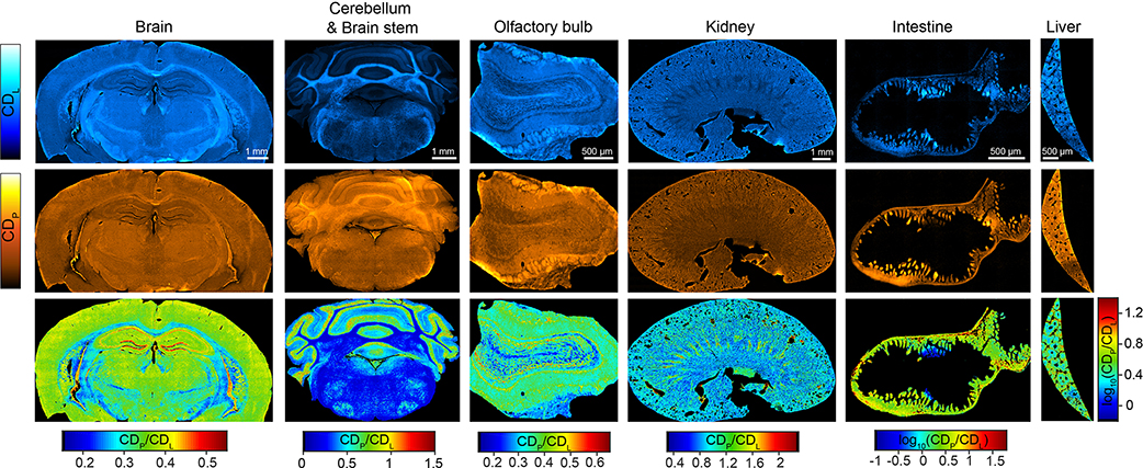 Extended Data Fig. 5 |