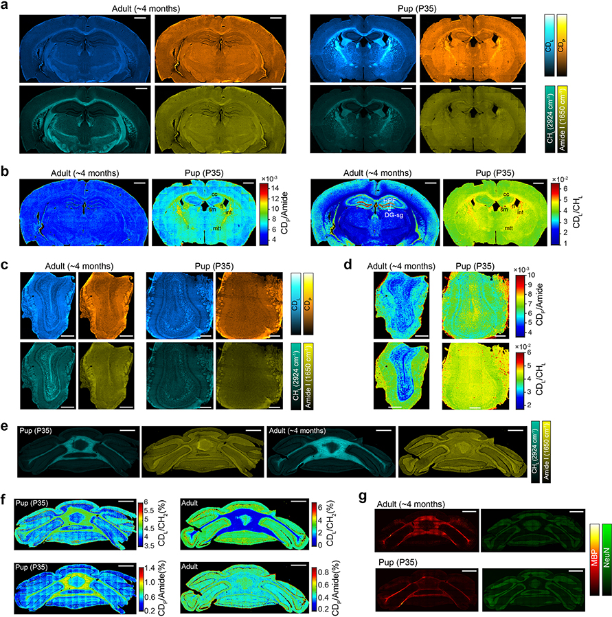 Extended Data Fig. 6 |