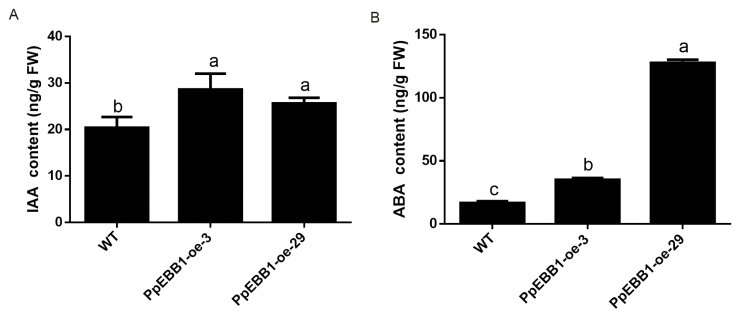 Fig. 5.