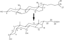 Fig. 3.