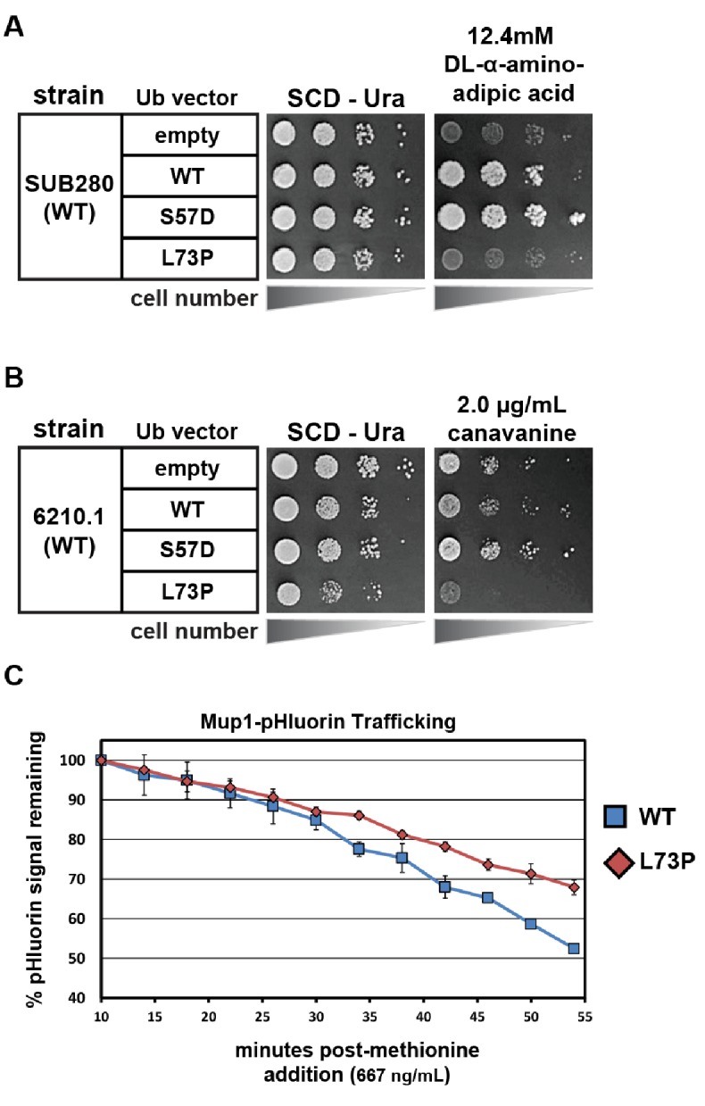 Figure 5—figure supplement 5.