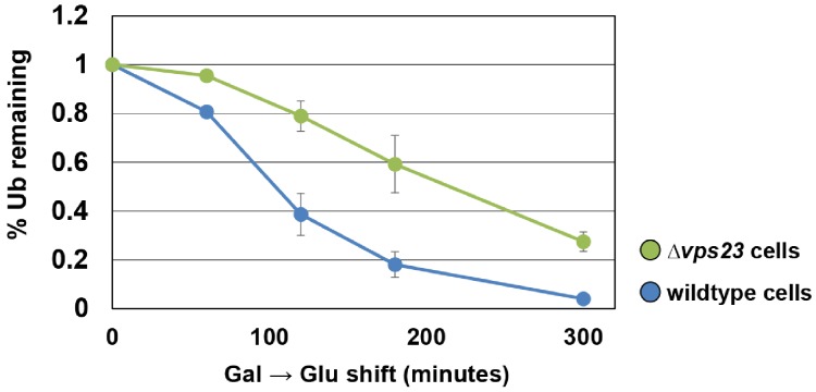 Figure 7—figure supplement 3.