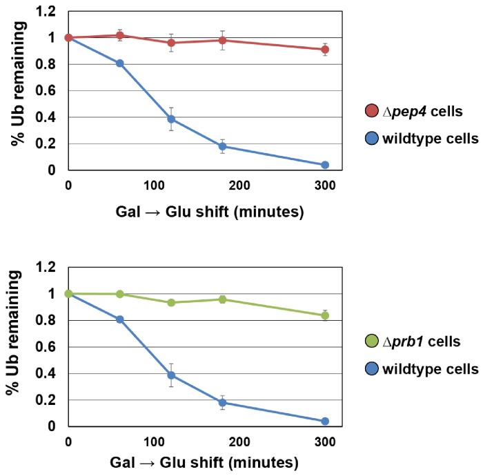 Figure 7—figure supplement 2.