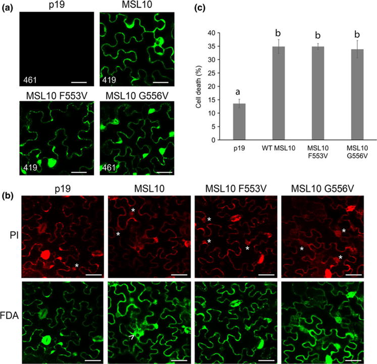 FIGURE 6