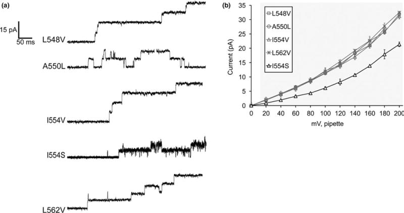 FIGURE 4