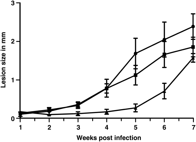 Fig. 6