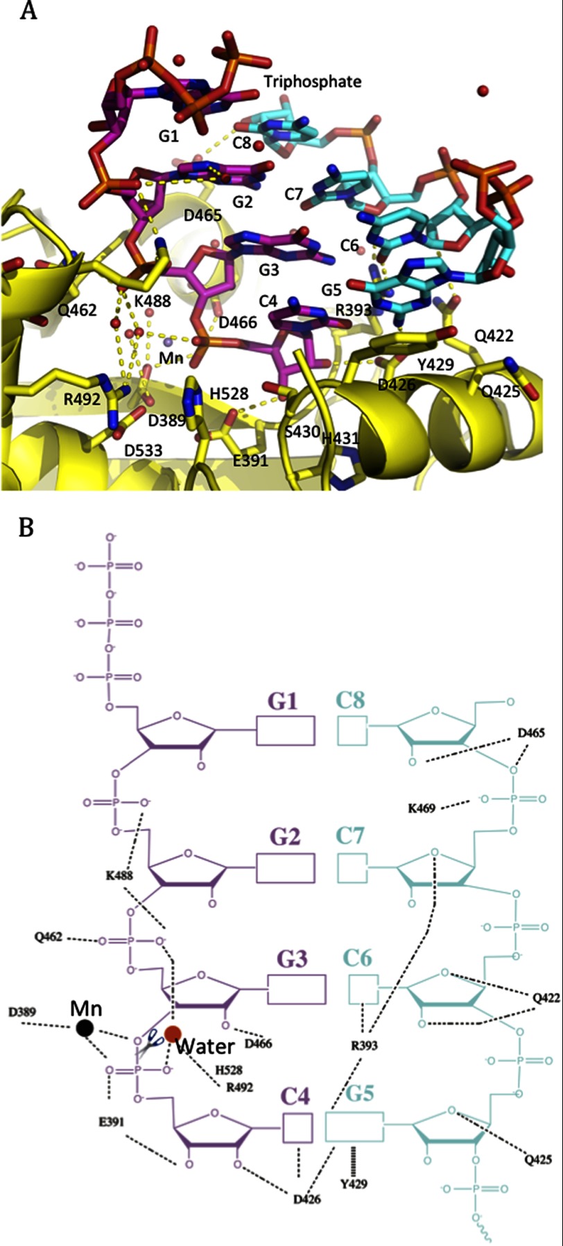 FIGURE 3.