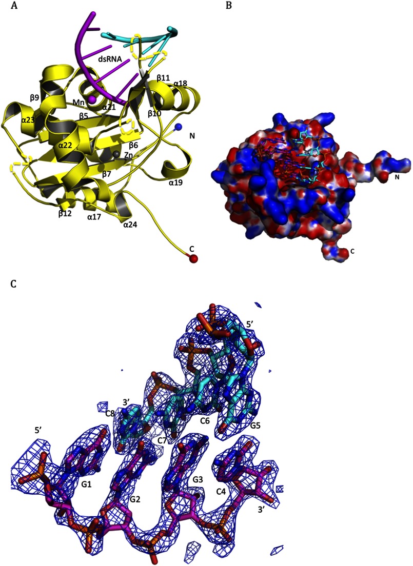 FIGURE 2.