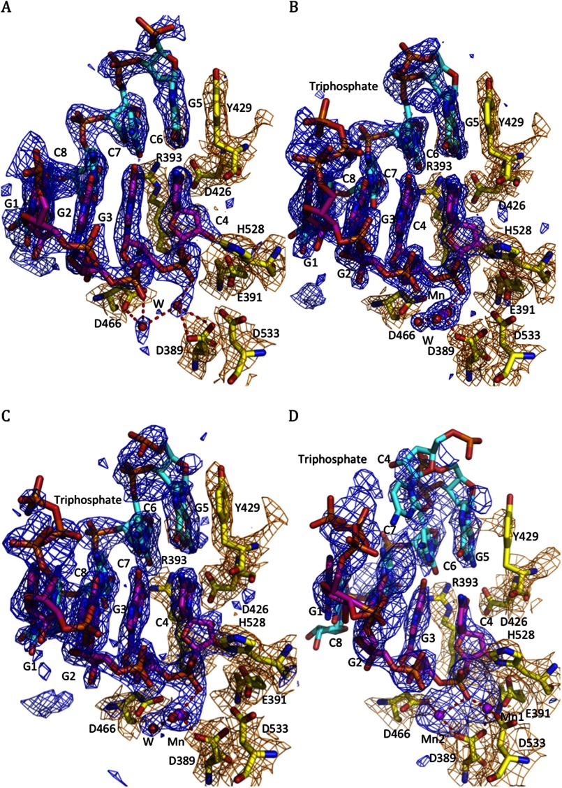 FIGURE 6.