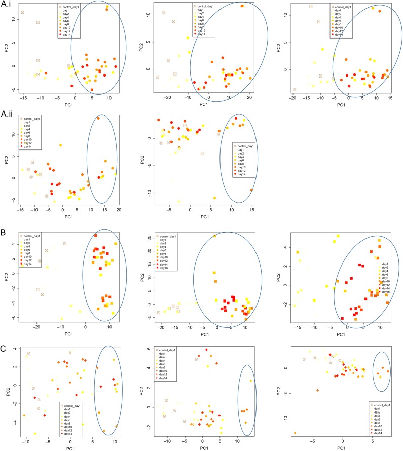 Figure 4: