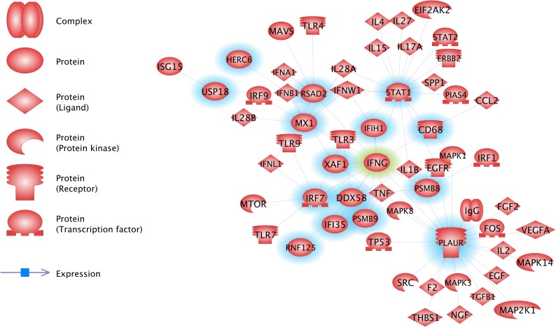 Figure 10: