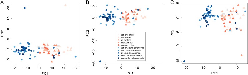 Figure 5: