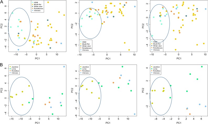 Figure 6: