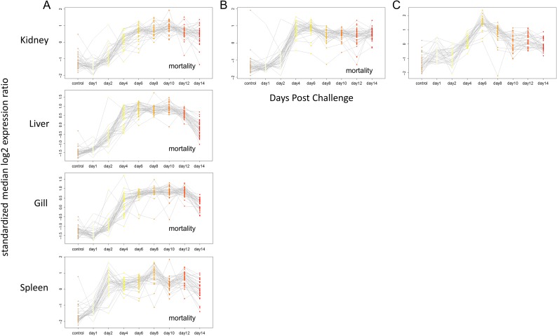 Figure 2: