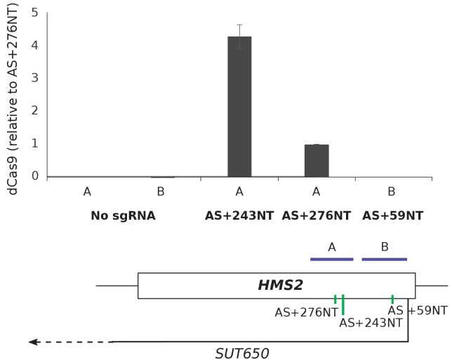 Figure 2—figure supplement 2.