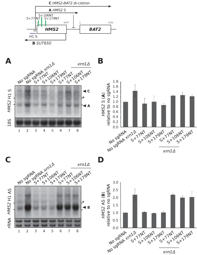 Figure 3—figure supplement 1.