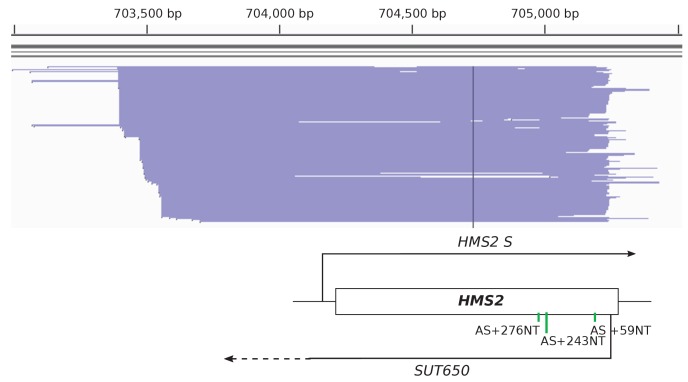 Figure 2—figure supplement 1.