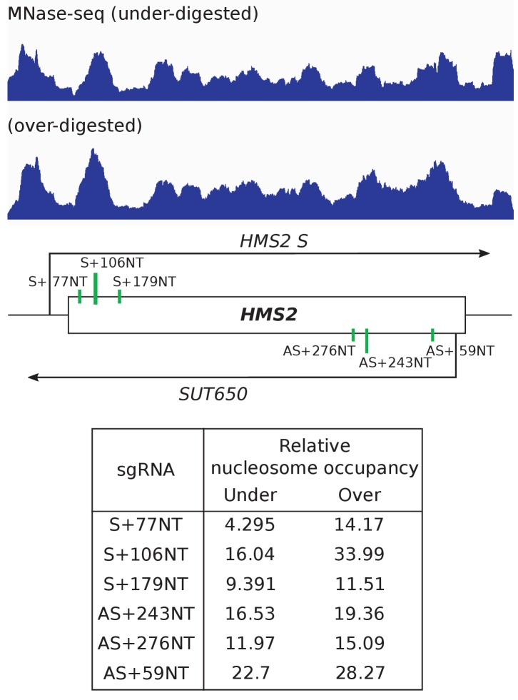 Figure 2—figure supplement 3.