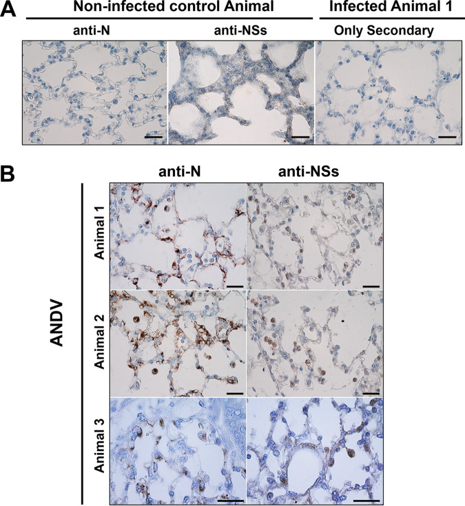 FIG 3