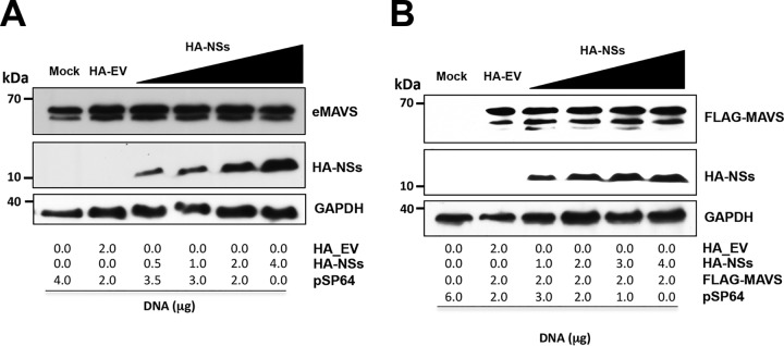 FIG 6