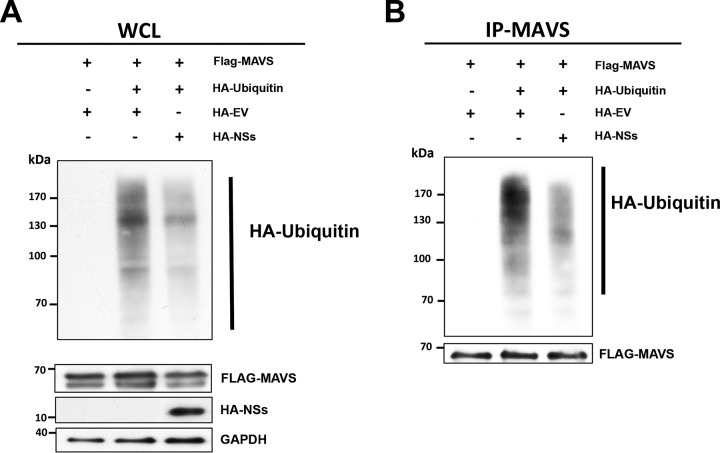 FIG 9