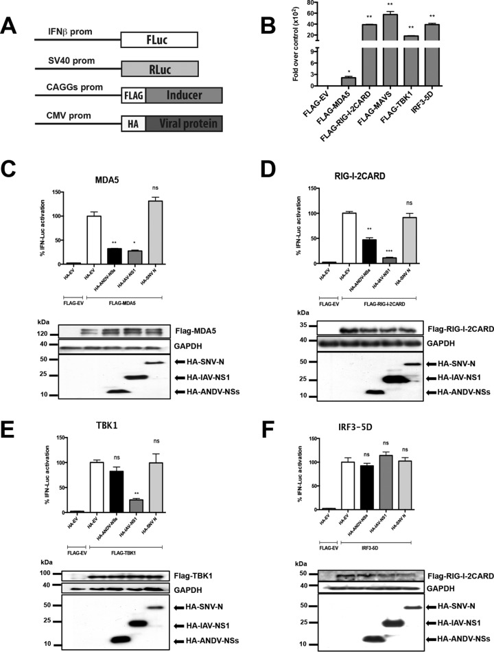 FIG 4