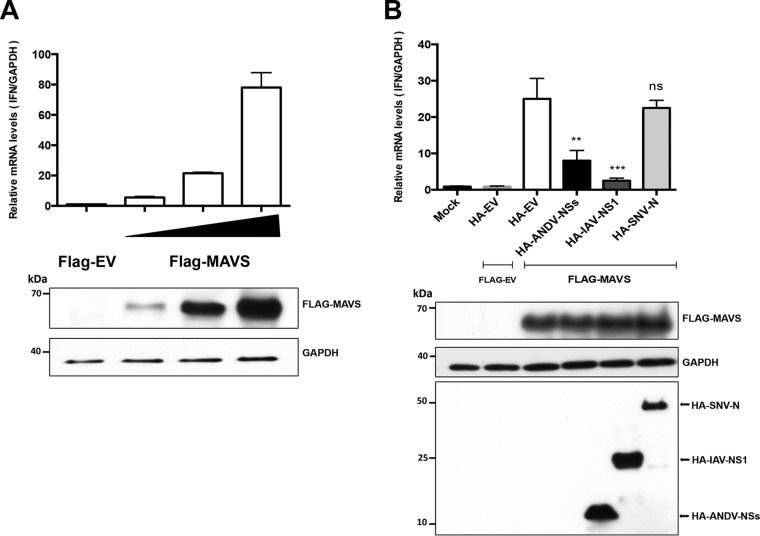 FIG 7