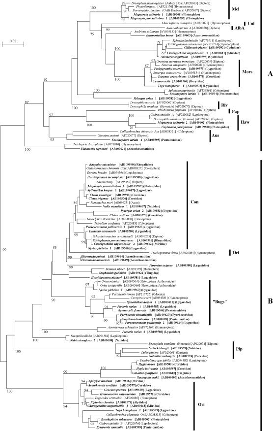 FIG.1.