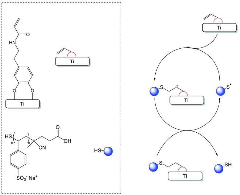 Scheme 4.