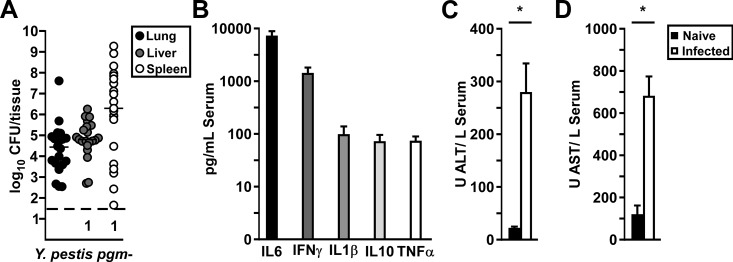 Fig 7