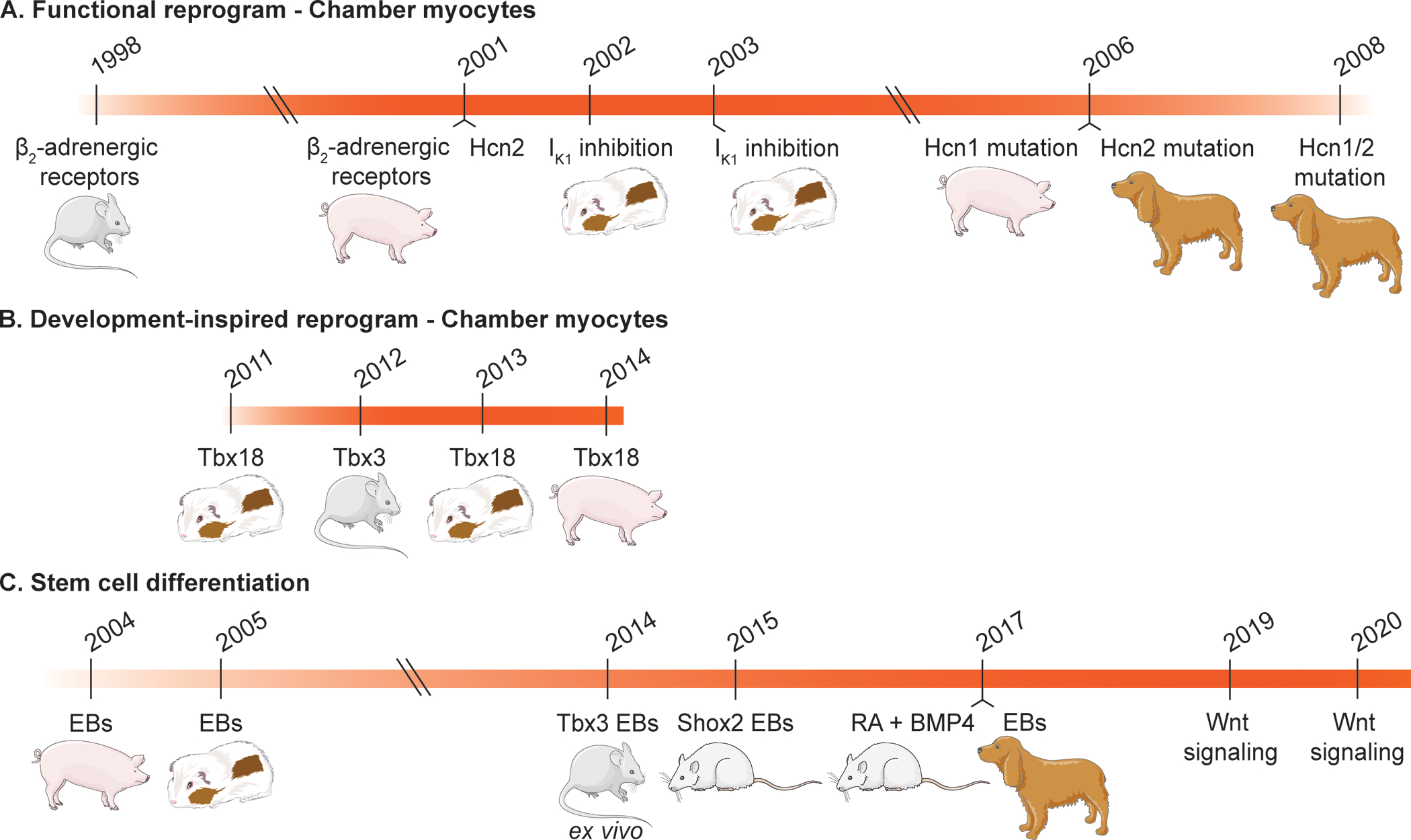 Figure 2.